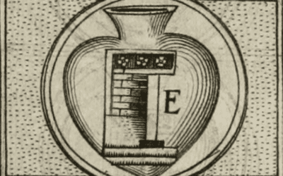 Sesión 17: Juan Manuel Díaz Ayuga «entangled»